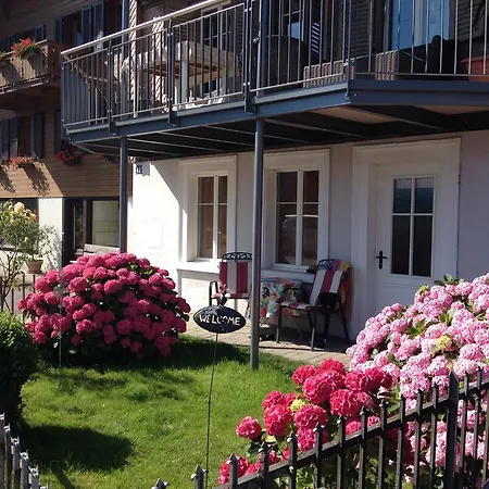 Haus Am Ii * دارليغن