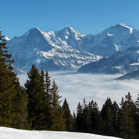 Haus Am Ii شقة دارليغن