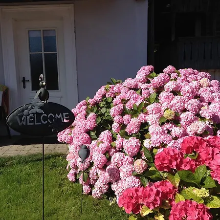 Haus Am Ii Appartement *