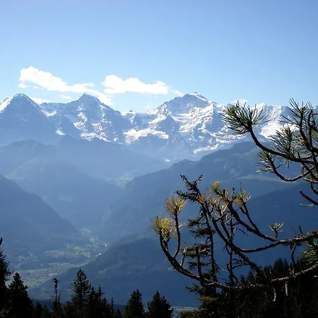 Appartement Haus Am Ii Därligen